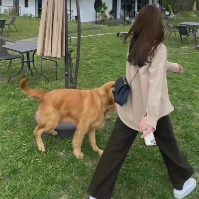 湿濡的恋人